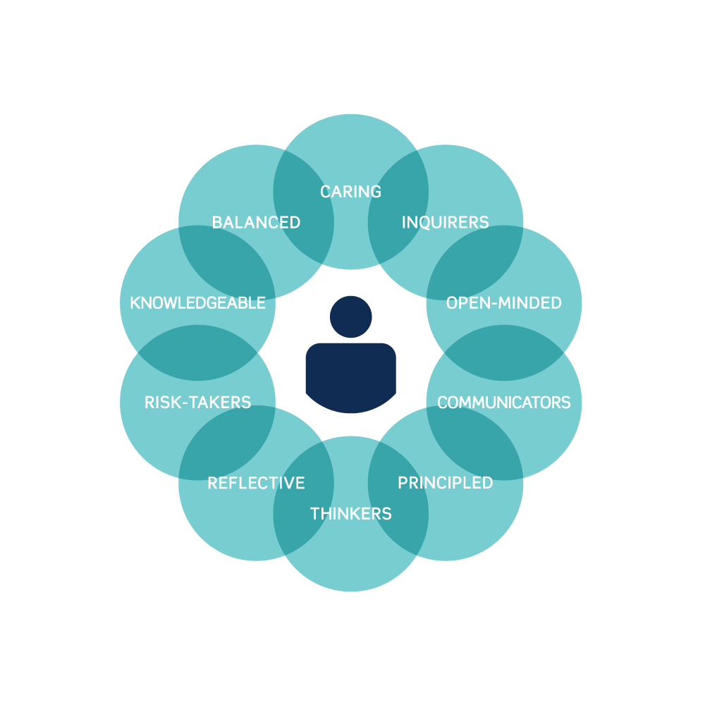 IB Diploma Programme